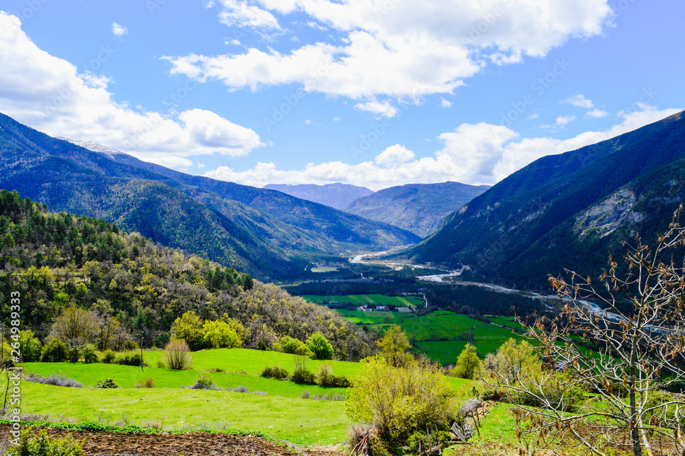 Naklejka premium La naturaleza y animales en los pirineos de españa