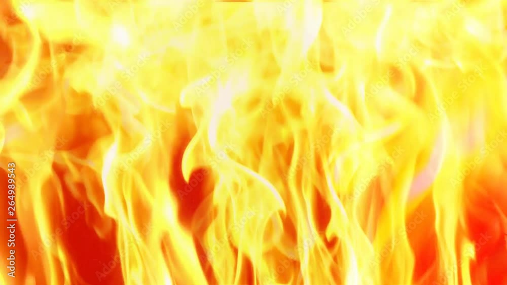 Wall of fire flame background. Burning texture of natural flames. Wall of fire flame background. Burning texture of natural flames.