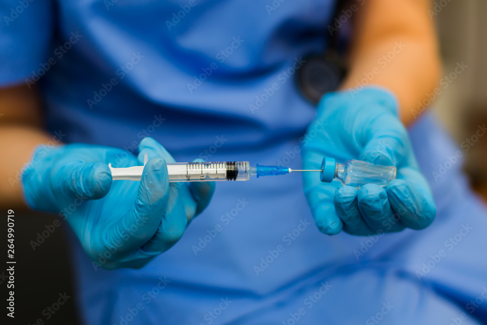the veterinarian women with blue gloves preparing a vaccine the veterinarian women with blue gloves preparing a vaccine
