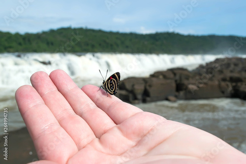88 Butterfly guesthouse on hand with blurred background of waterfall photo