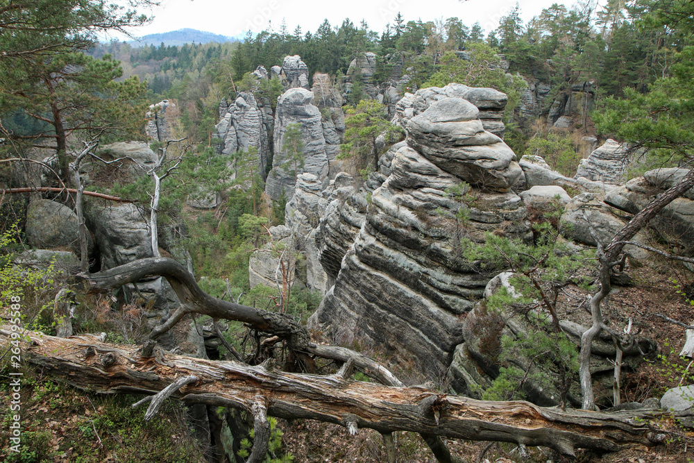 The area in Czech republic, called Prachovské skály (Prachovské rocks). The attraction and sight for tourists. Great for hiking or climbing. Full of narrow gorges and passes. 