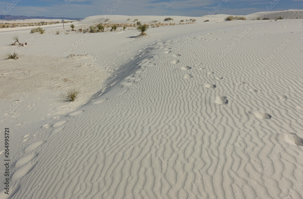 Obraz premium View of the White Sands National Monument with its gypsum sand dunes in the northern Chihuahuan Desert in New Mexico, United States
