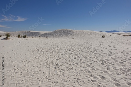 View of the White Sands National Monument with its gypsum sand dunes in the northern Chihuahuan Desert in New Mexico  United States