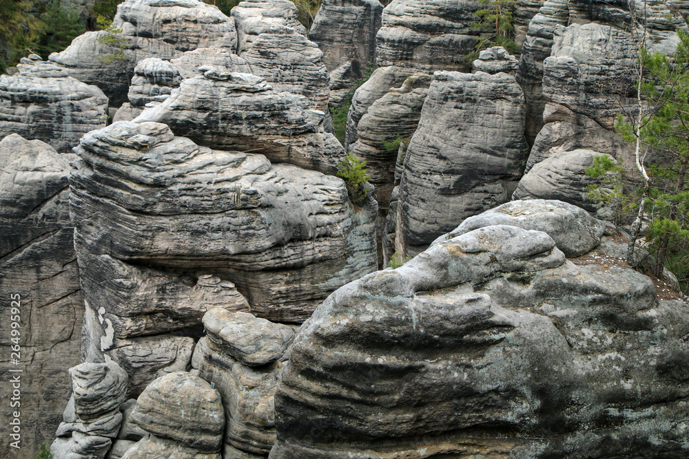 The area in Czech republic, called Prachovské skály (Prachovské rocks). The attraction and sight for tourists. Great for hiking or climbing. Full of narrow gorges and passes. The area in Czech republic, called Prachovské skály (Prachovské rocks). The attraction and sight for tourists. Great for hiking or climbing. Full of narrow gorges and passes.