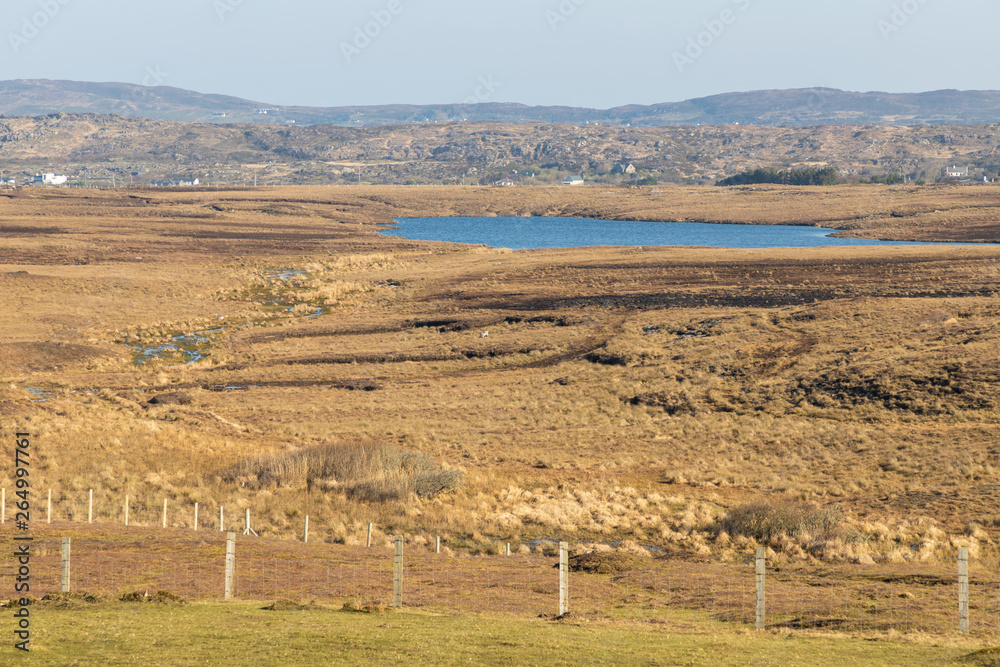 Fototapeta premium Bog with vegetation and lake