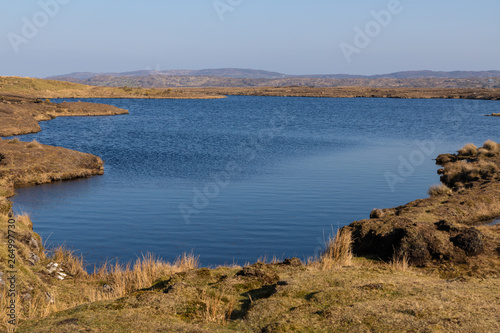 Bog with vegetation and lake