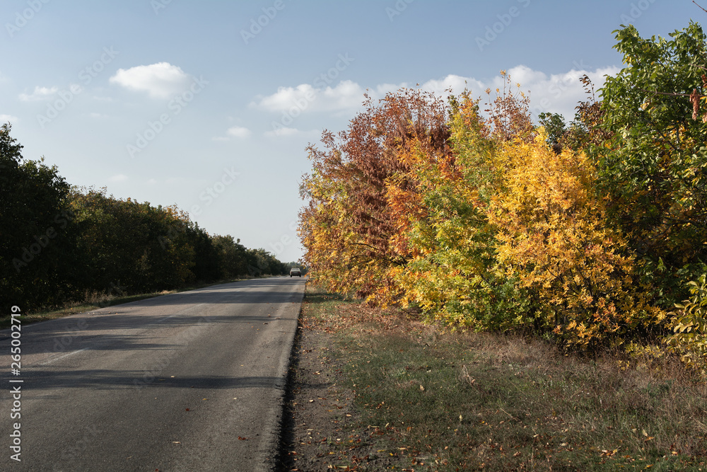 Autumn landscape along the road, Ukraine, Kuchurgan Autumn landscape along the road, Ukraine, Kuchurgan