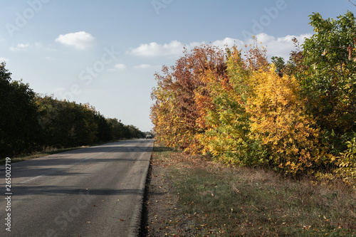 Autumn landscape along the road, Ukraine, Kuchurgan