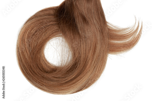 Long brown hair isolated on white background. In shape of circle