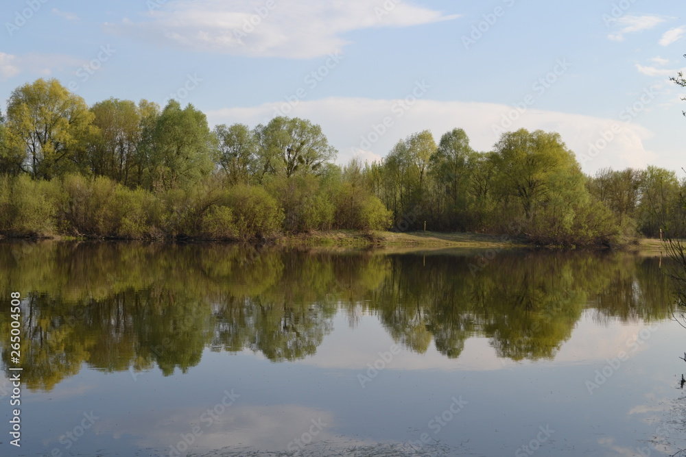 River, green forest, reflection of green forest in the water, in spring. River, green forest, reflection of green forest in the water, in spring.