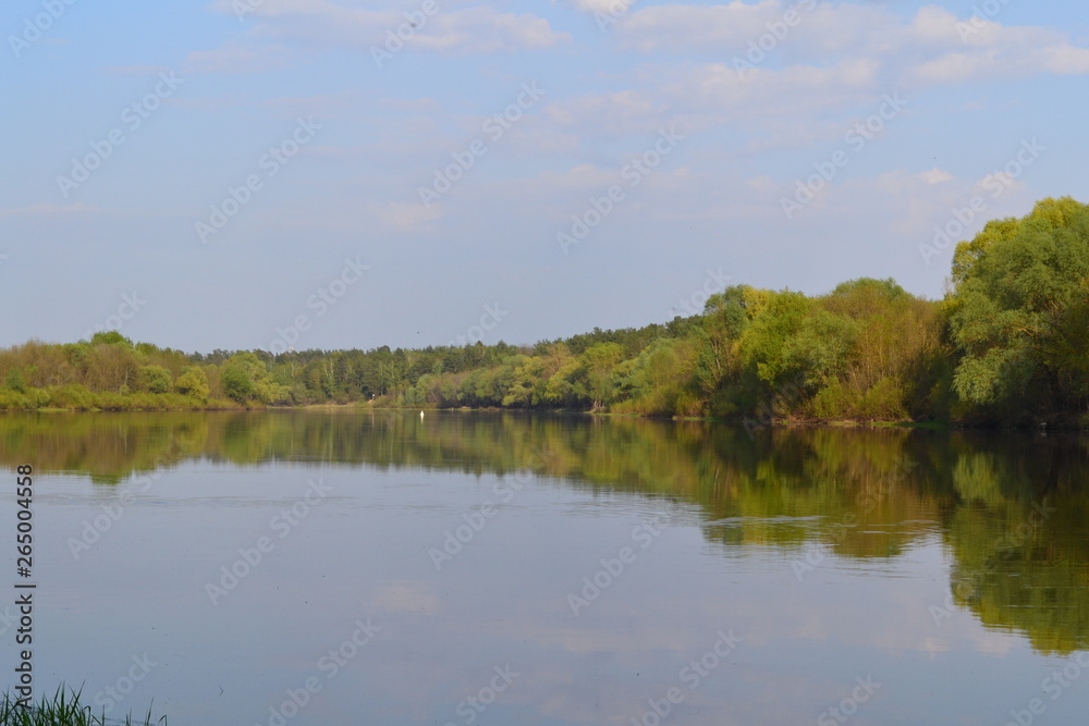 River, green forest, reflection of green forest in the water, in spring.
