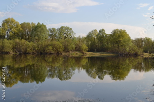 River, green forest, reflection of green forest in the water, in spring. © Maksim