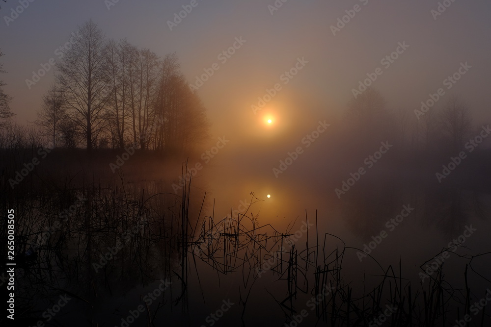 Naklejka premium Foggy sunrise on the lake