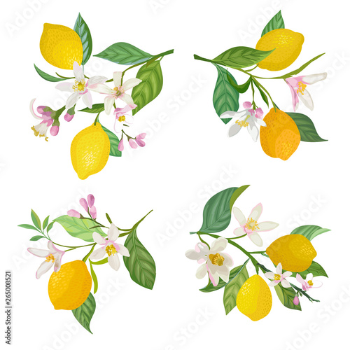 Watercolor lemons hanging on branch with leaves and flowers for posters, summer vibrant banners, cover design templates, social media stories, spring wallpapers. Vector illustration