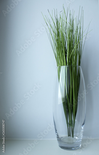 flowers and grass in vase on white background 