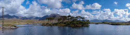 Fir Island panorama, Connemara