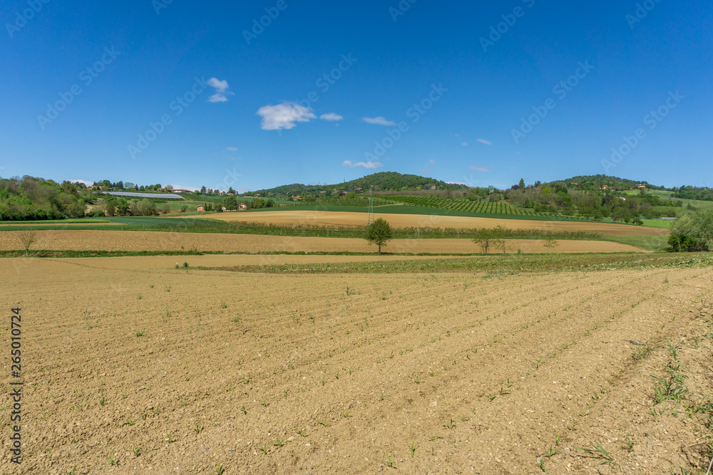fields and expanses of lawns in Turin, agricultural land and cultivation