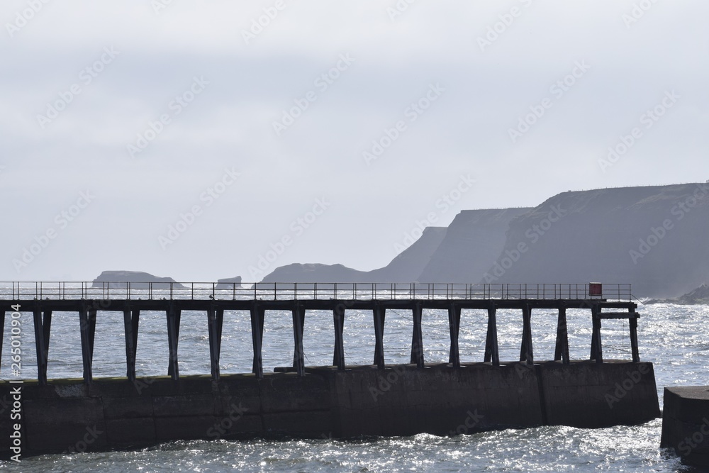Obraz premium Pier in whitby