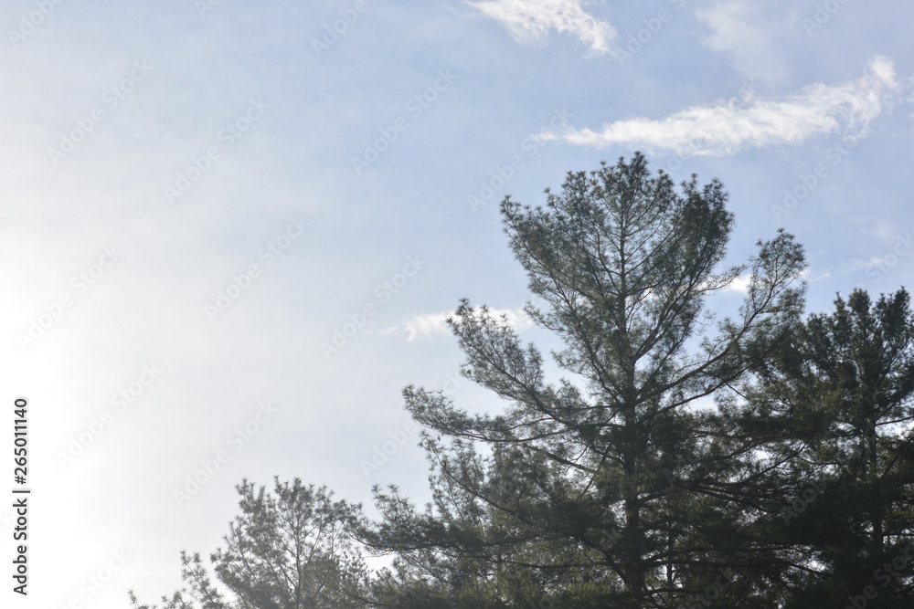 Fototapeta premium Clouds pass by