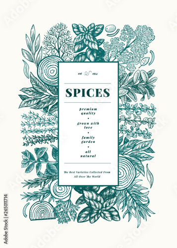 Culinary herbs and spices banner template. Hand drawn vintage botanical illustration. Vector background for design menu, packaging, recipes, label, farm market products.