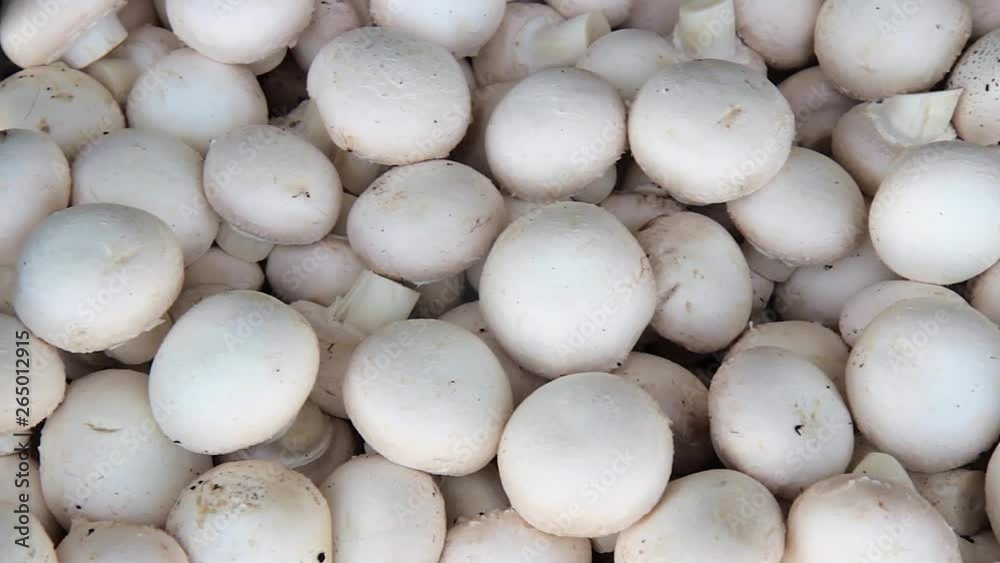 pile of mushrooms. Raw fresh mushroom in basket. pile of mushrooms. Raw fresh mushroom in basket.