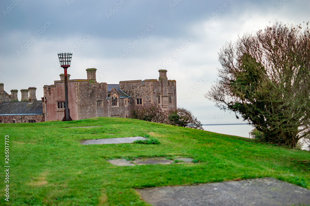 A tree and the castle of dover along with the green slopes