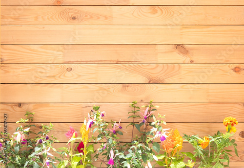 Clear wooden panel made from pallets. Horizontal lines with plants and flowers at the bottom