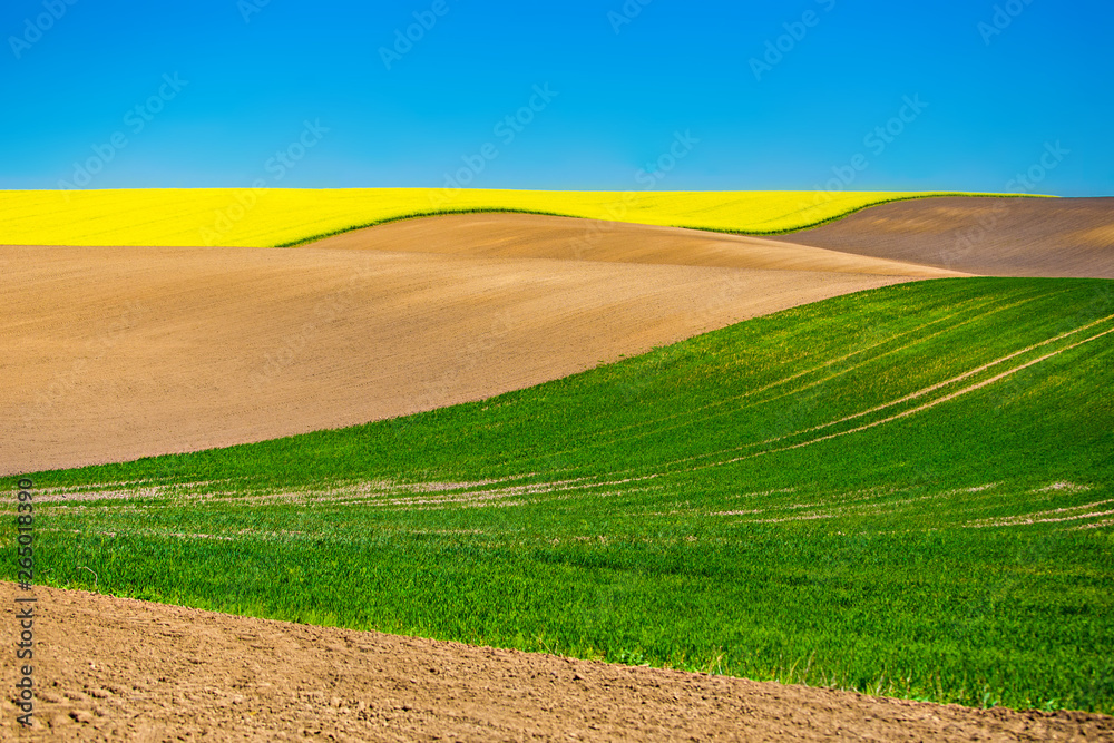 Obraz premium Hilly landscape. Farm lands cultivated in rural area. Cozla concept