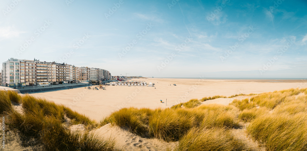 Fototapeta premium Plaża Zeebrugge, Flandria, Belgia