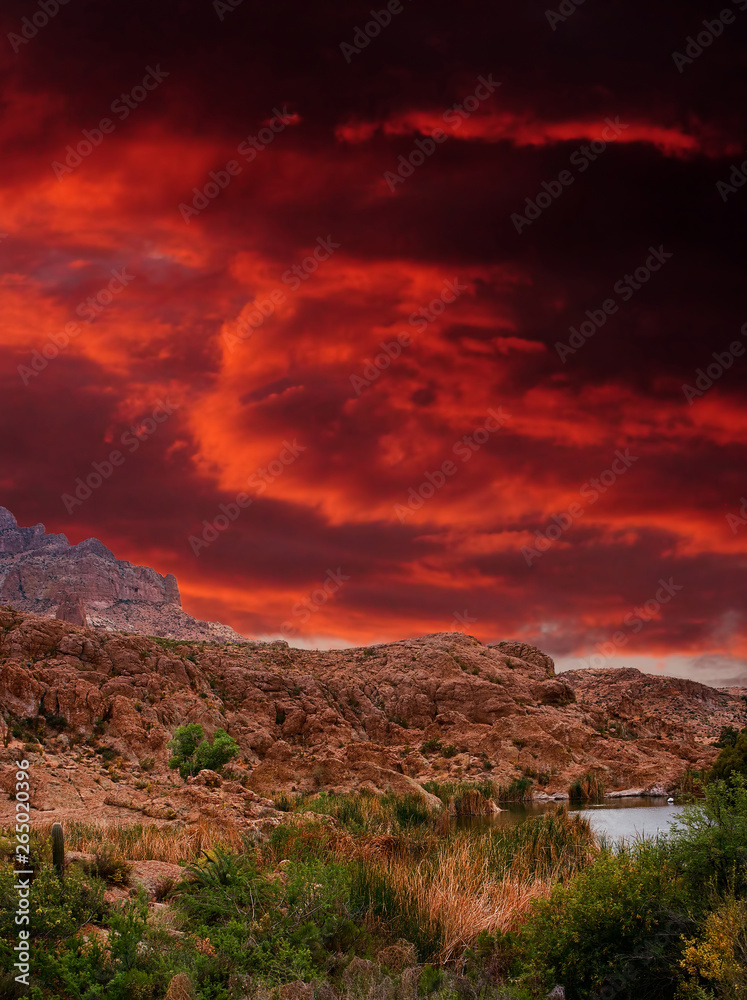 Sonora Desert Sunset