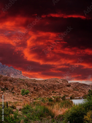 Sonora Desert Sunset