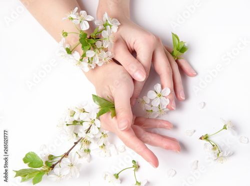 Woman hand with flower, floral background springtime.
