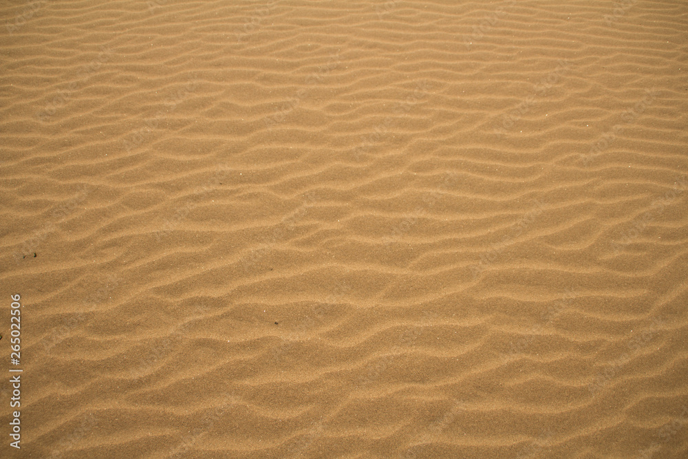 Sand Sand