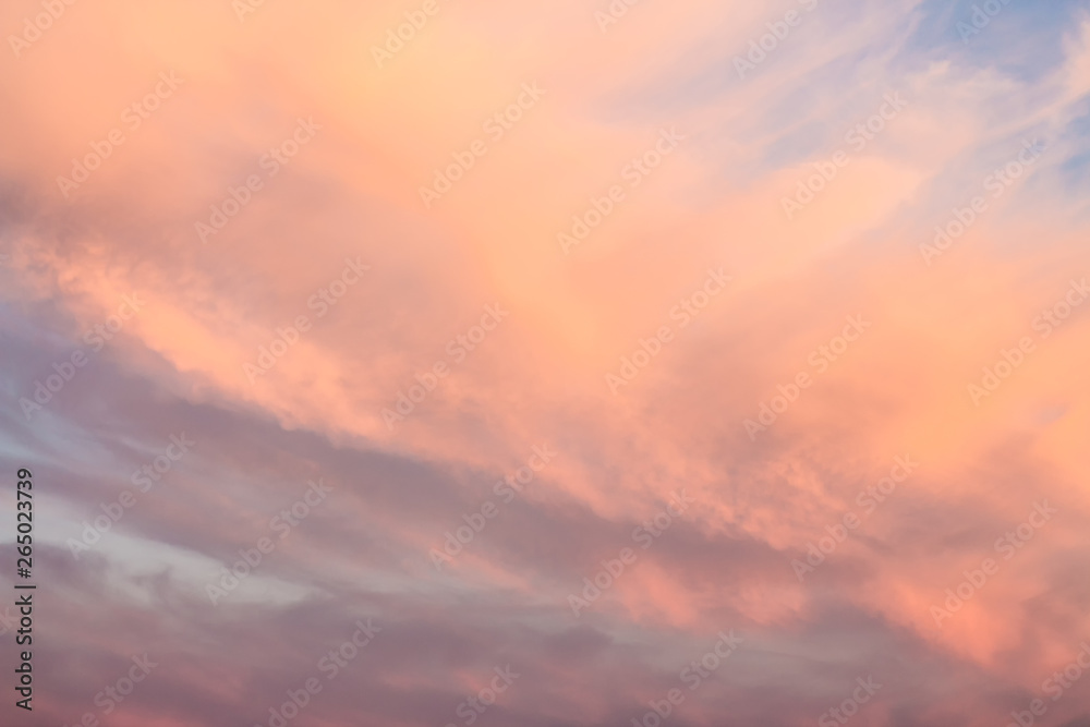 Sunset pink sky. Bright orange sky at sunrise. Beautiful gentle pinworm clouds.