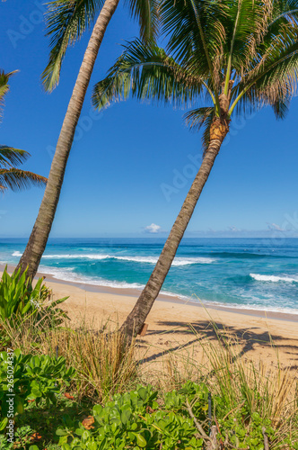 Beach scene on the north shore of Oahu Hawaii