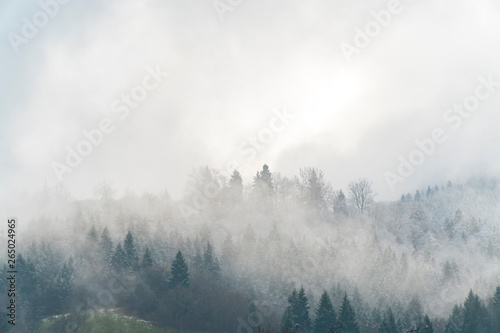 Fantastic view of cloudy winter landscape with snow covered trees.
