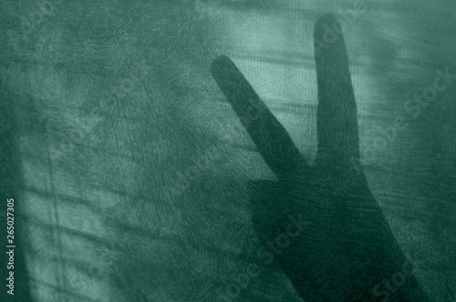 Fototapeta Naklejka Na Ścianę i Meble -  on a green background, a gesture of two fingers