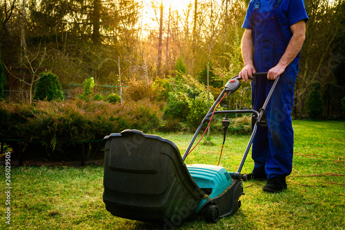 Using scarifier in the garden. The man fertilizes the soil in the garden, preparing for work on the garden. Aeration with a blue scarifier. The gardener works outside taking care of plants. photo