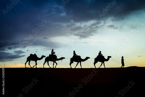 a dromedary ride during sunset in the sahara desert