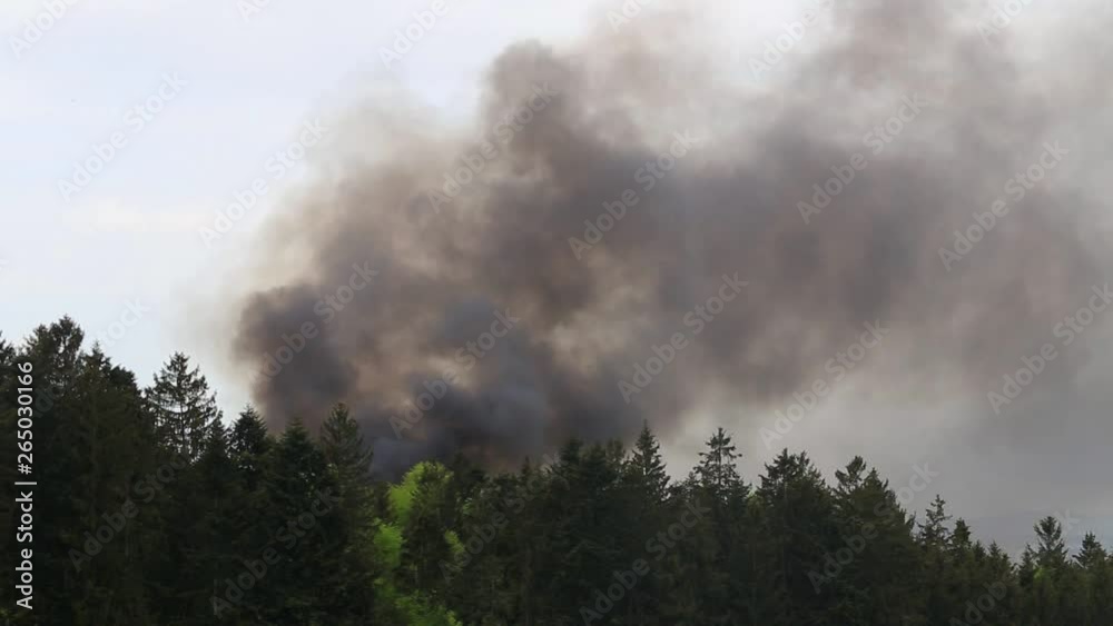 Dark smoke over a forest due to wildfires Dark smoke over a forest due to wildfires