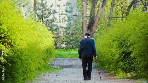 Silhouette of an elderly man with a wand on the alley in the park. The figure of a pensioner with walking stick along the path between the spring green bushes