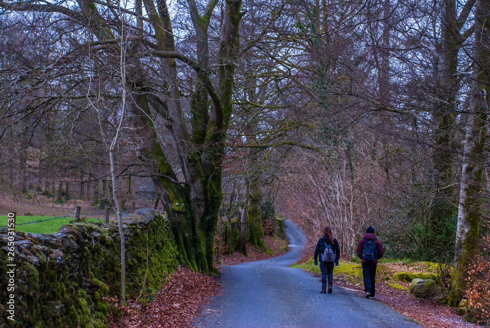 Road up the hill in autumn Natural elements.