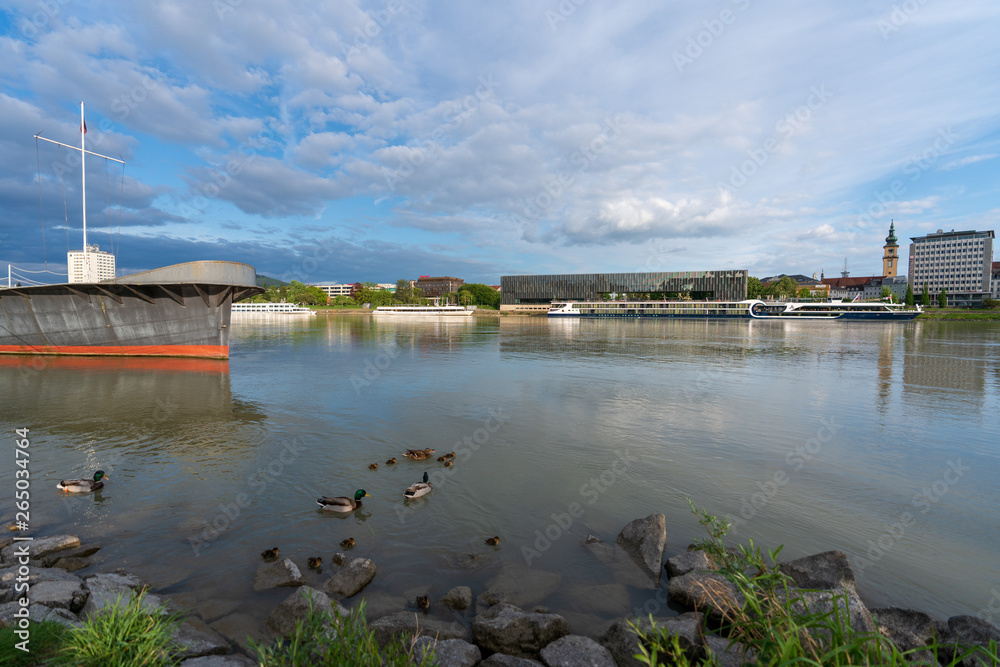 Linz Urfahr Donauufer mit Ente und vielen Küken im Hintergrund Lentos Kunstmuseum