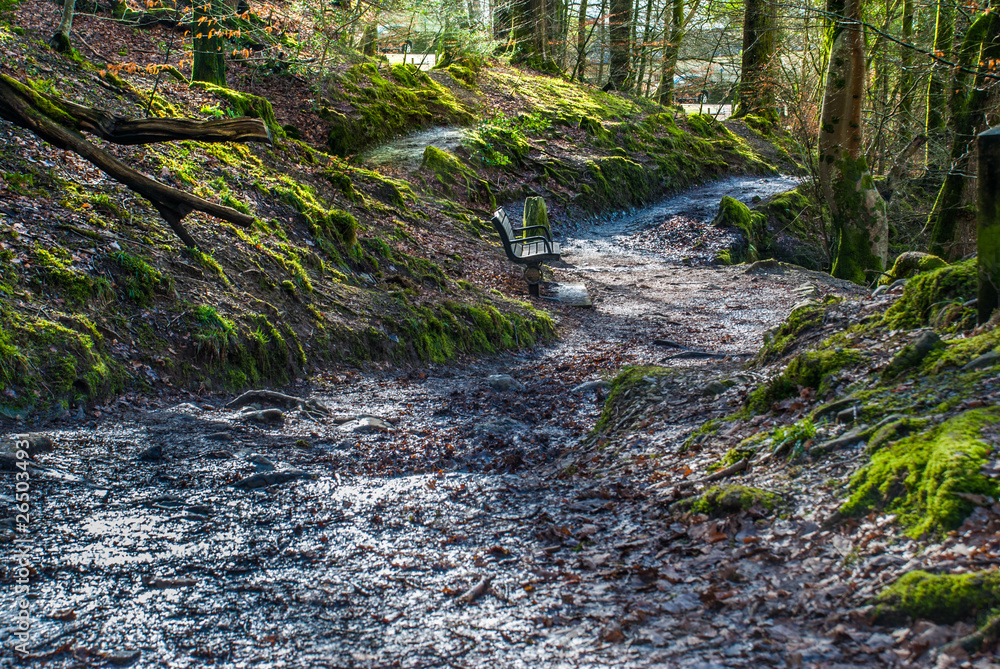 Wooden chair between the path to the waterfall With beautiful green trees.