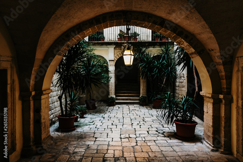 Bari  Italy - March 12  2019  Interior atrium of a typical dwelling in Italian renancentist style.