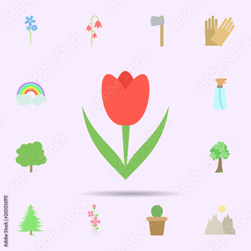 Tulip colored icon. Universal set of nature for website design and development, app development