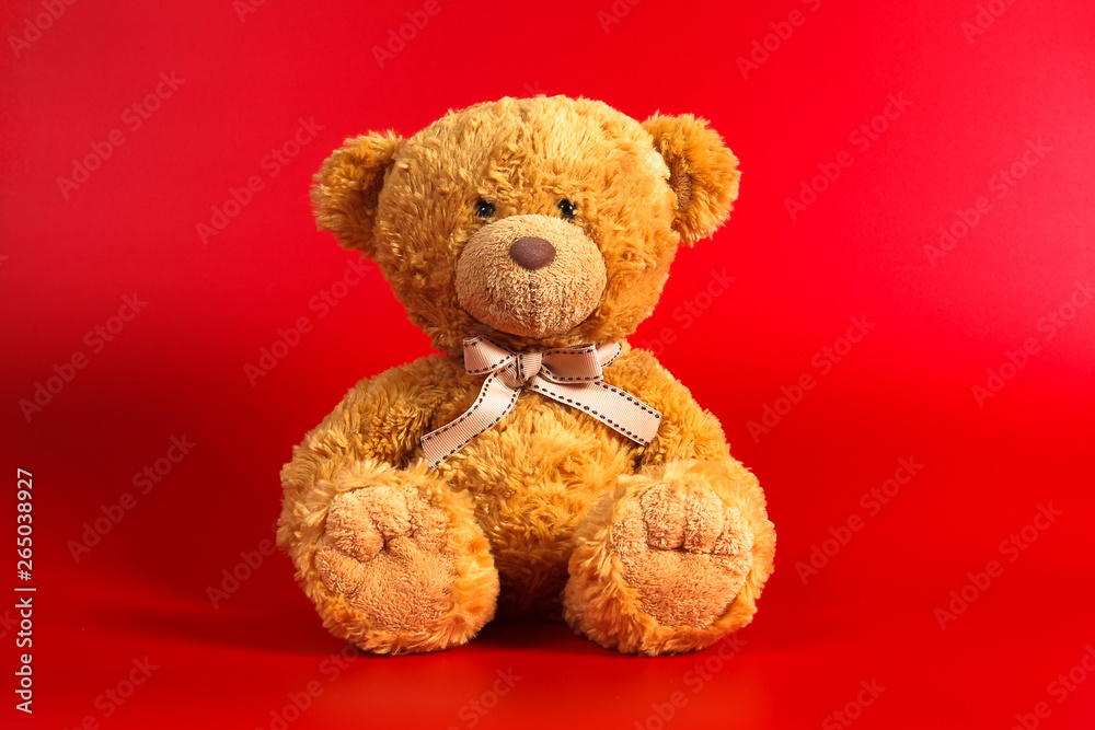Soft warm cute brown teddy bear on color background. Isolated. Soft red background. Copy space for text. Soft warm cute brown teddy bear on color background. Isolated. Soft red background. Copy space for text.
