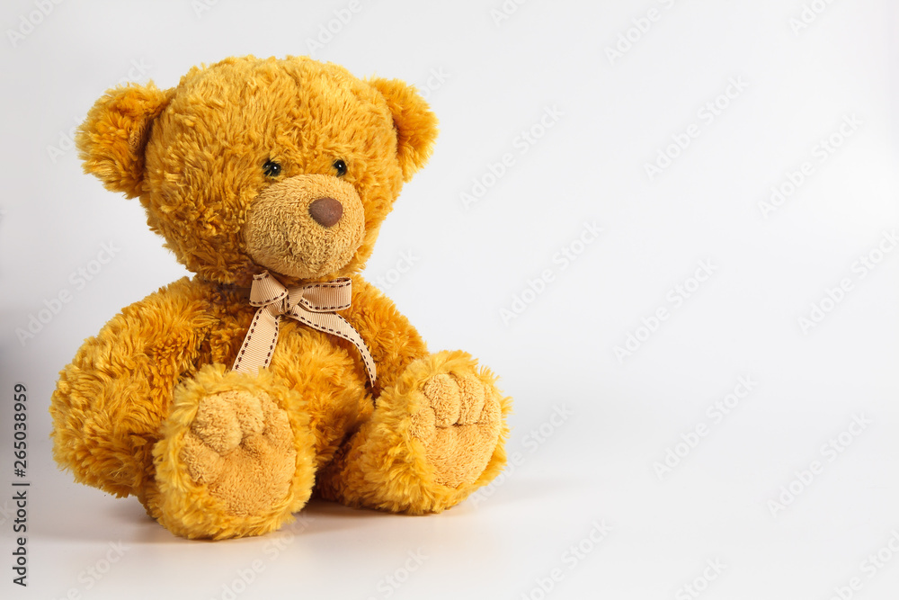 Soft warm cute brown teddy bear on color background. Isolated. Soft white background. Copy space for text.