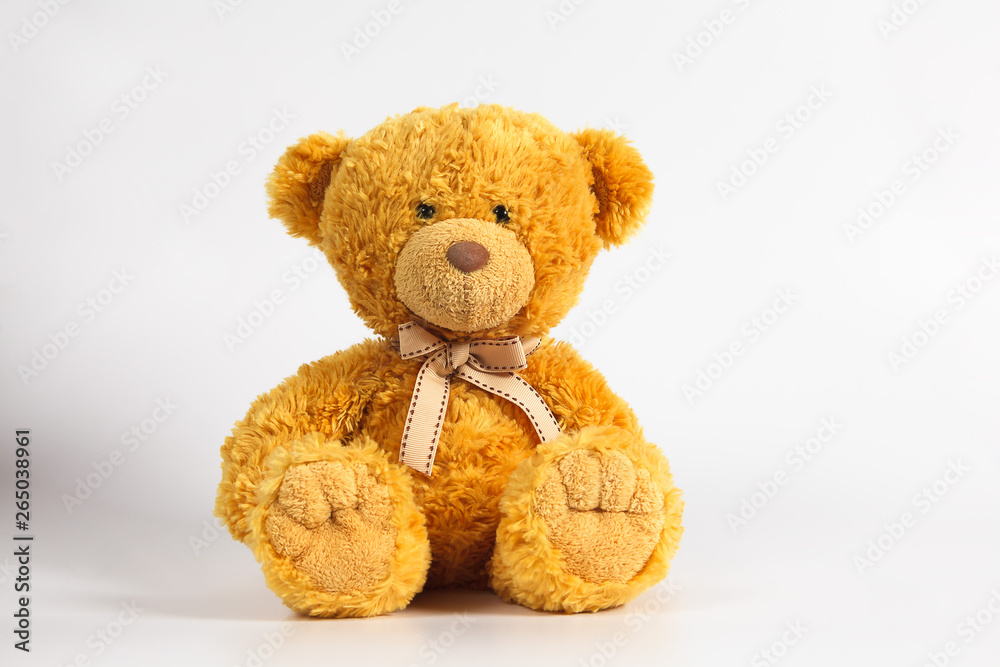 Soft warm cute brown teddy bear on color background. Isolated. Soft white background. Copy space for text.