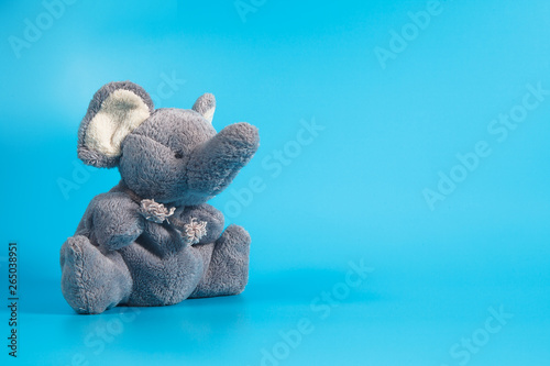 Quadro em tela Funny cute grey gray plush elephant toy isolated on col background